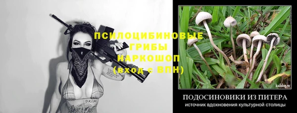 крисы Горнозаводск